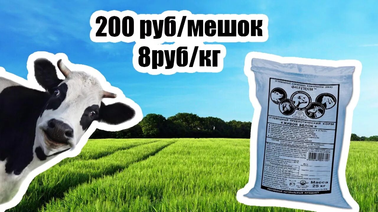 Живой белок инструкция. Протеин для коров. корм для коров. живой белок для крс. живой белок для телят.
