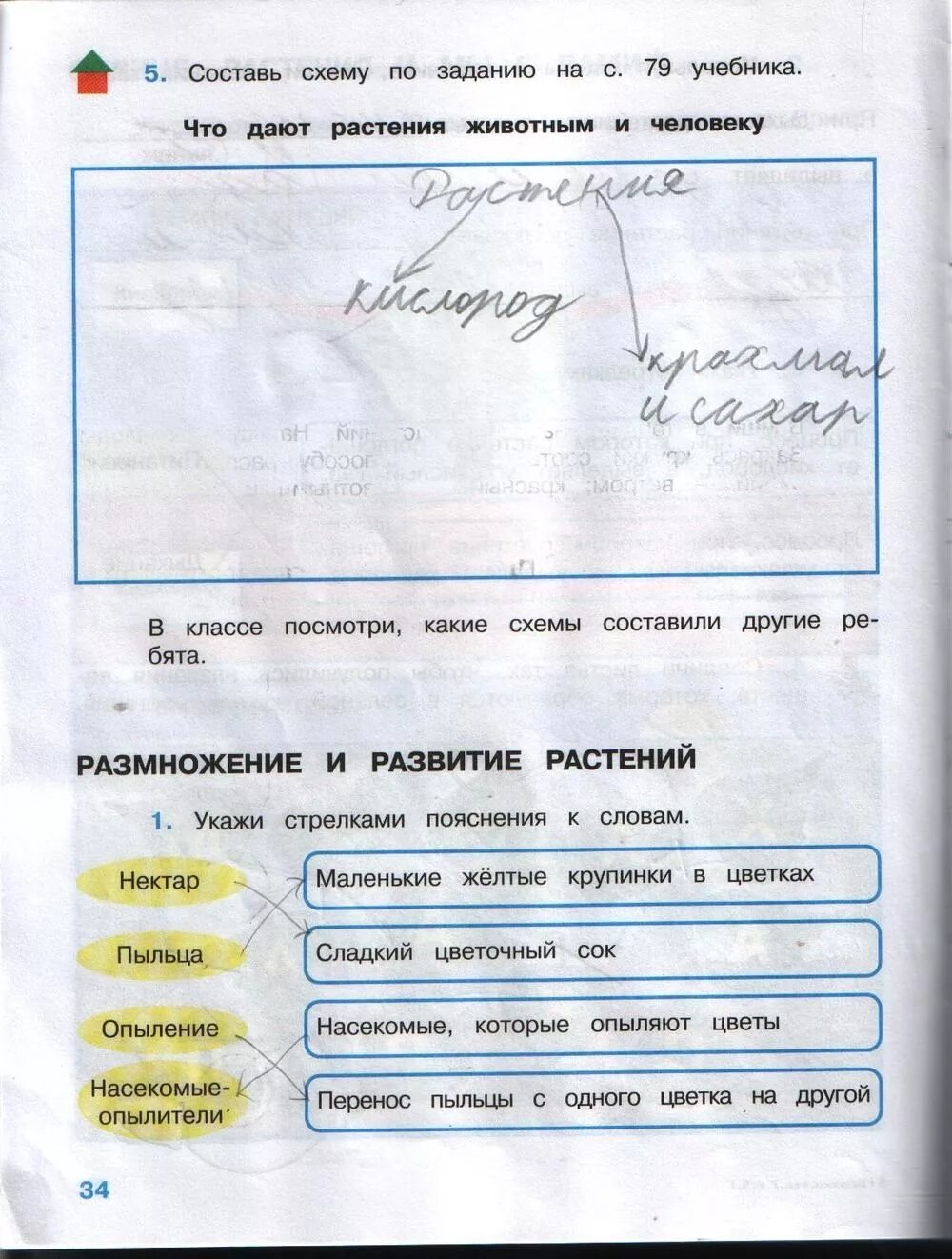 Окружающий мир страница 19 задание 3. Окружающий мир 3 класс рабочая тетрадь плешаков стр 34. окружающий мир 3 класс рабочая тетрадь плешаков стр 4, номер 3. окружающий мир 3 класс рабочая тетрадь гдз плешаков 44. окружающий мир 3 класс рабочая тетрадь плешаков.
