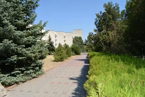 Евпаторийский детский санаторий