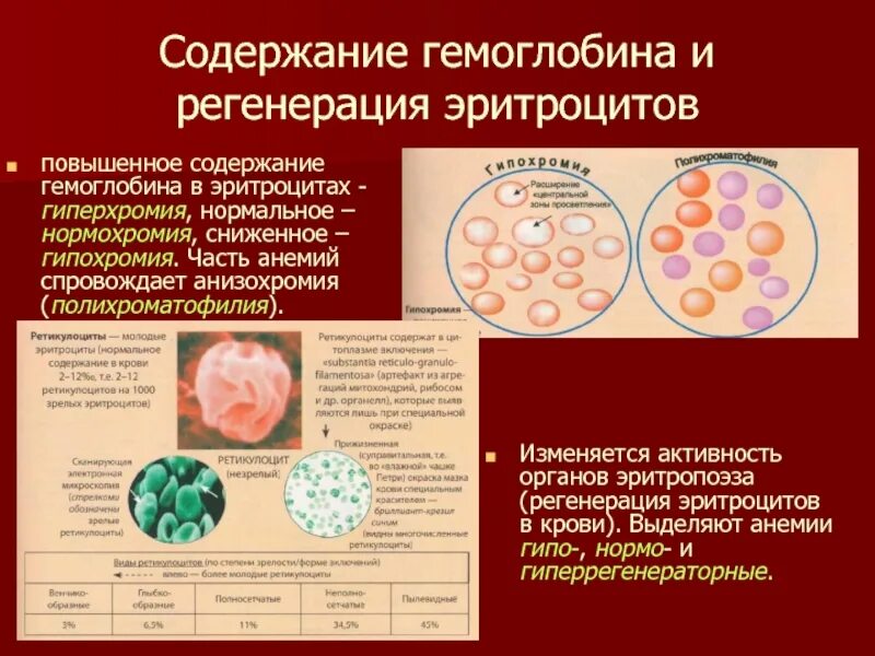 Повышенные эритроциты. Повышение содержания эритроцитов. повышение эритроцитов и гемоглобина в крови. повышение содержания эритроцитов в крови.. повышенный гемоглобин и эритроциты.