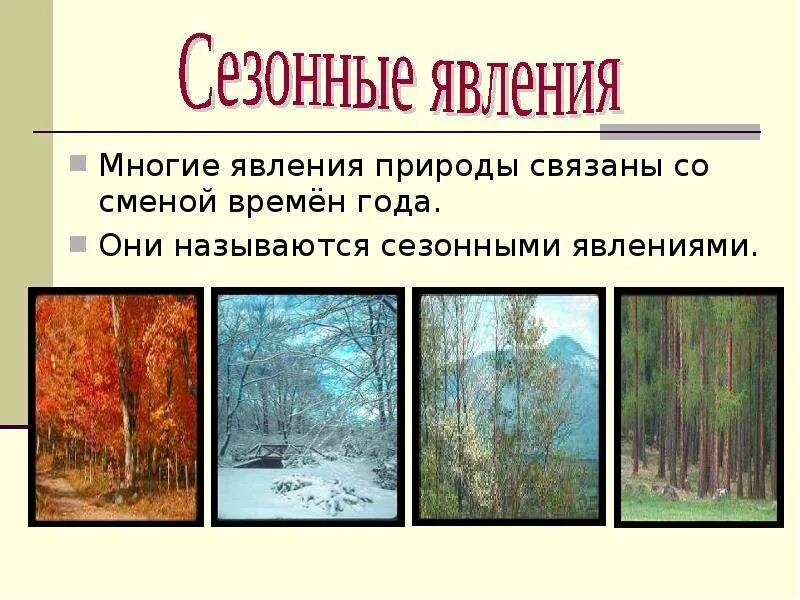 Сезонные изменения примеры 5 класс. Сезонные явления в природе. Сезонные изменения в природе. Явления природы презентация. Природные изменения в природе.