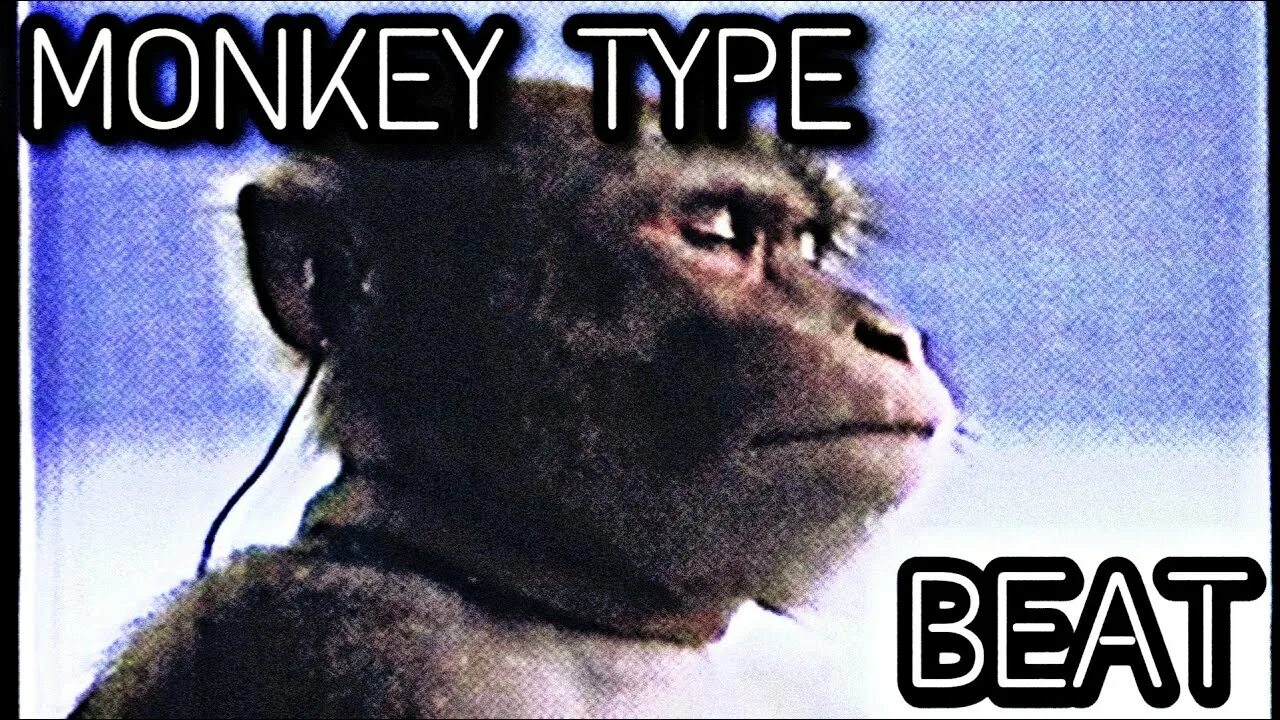 Monkey type на русском. Гривистый тонкотел. Монке обезьяна. Ape обезьяна. Monkey type на русском.