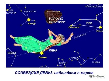 Альфа девы 5 букв