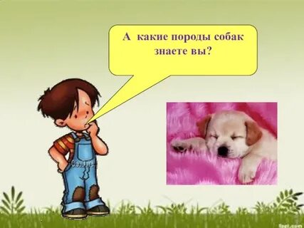 Собака друг человека почему тире
