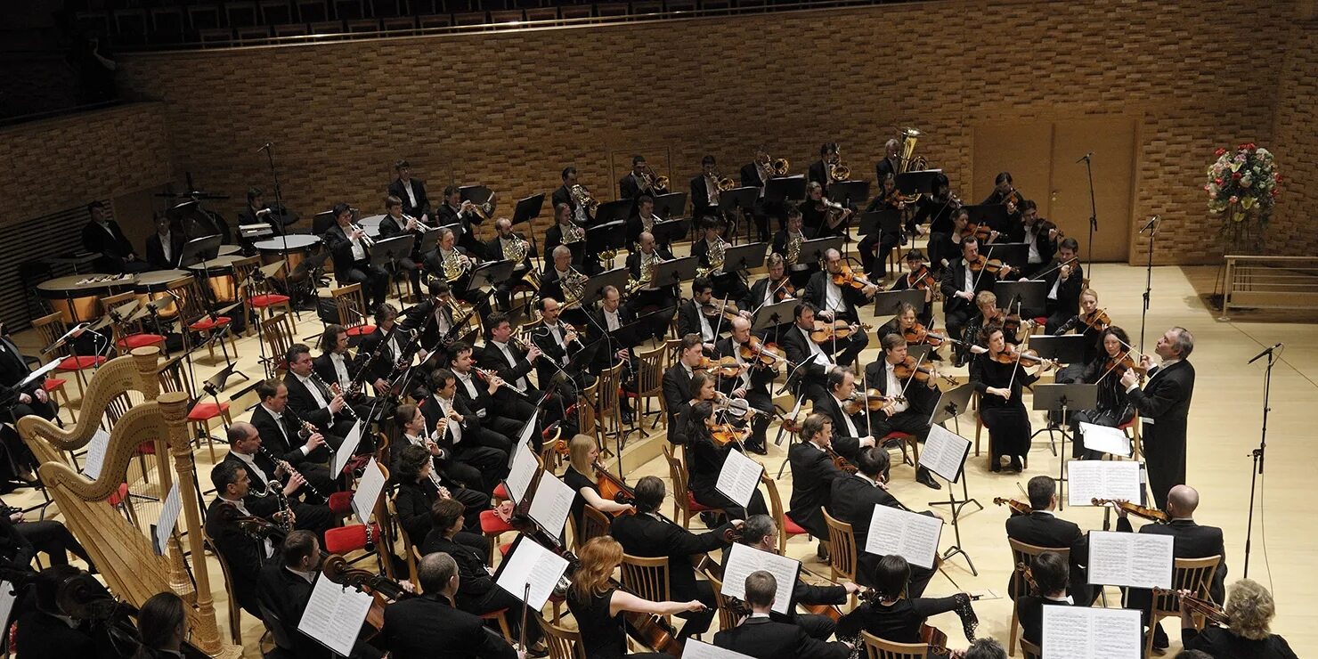 Оркестр Мариинского театра. Mariinsky Theatre Symphony Orchestra. Группа симфонический оркестр Мариинского театра. Концертный зал Мариинского театра и оркестр.