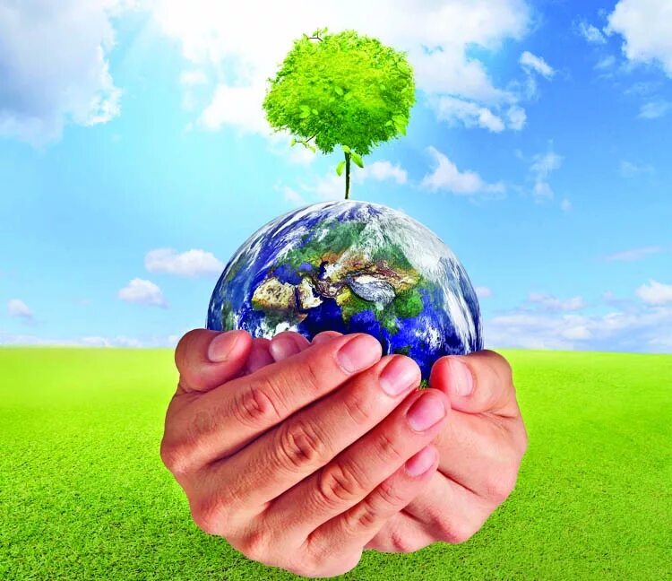 Environmental principles