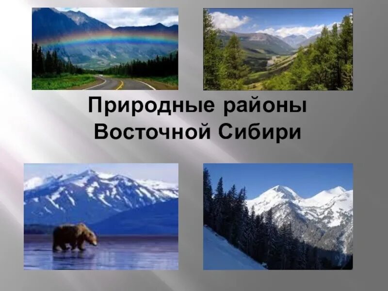 Ресурсы средней сибири. Природные Восточной Сибири. Природные районы Сибири. Восточная Сибирь коллаж. Коллаж Северо Восточной Сибири.