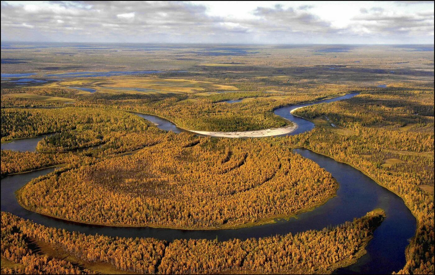 Самая крупная река западно сибирской равнины. Гыданский полуостров природа. Гыданский полуостров тундра. Природный заповедник Гыданский. Гыданский полуостров Ямало-Ненецкий автономный округ.