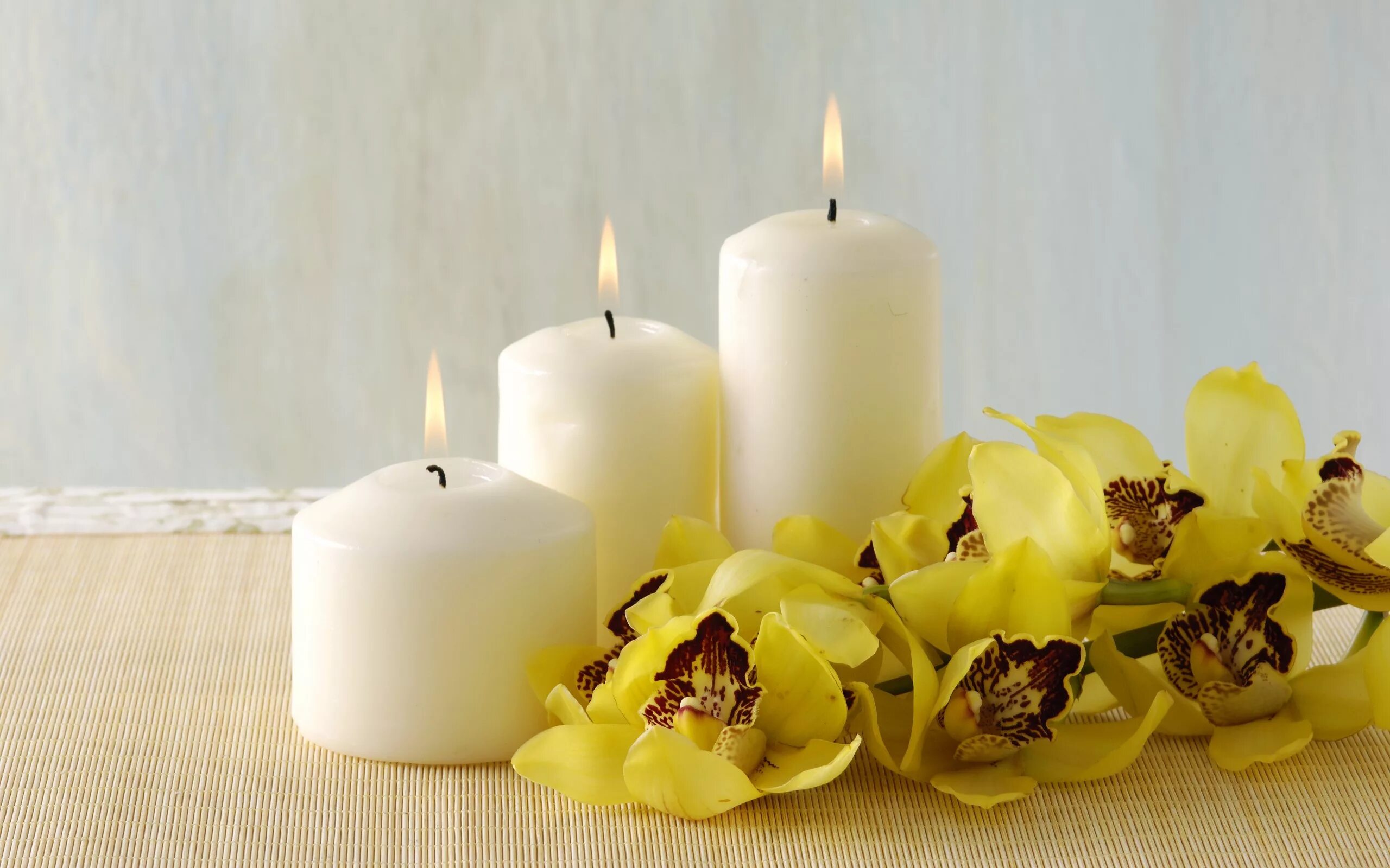 Восковые свечи. Красивые свечки. Цветочные свечи. Свечи из парафина. Красивые свечи картинки