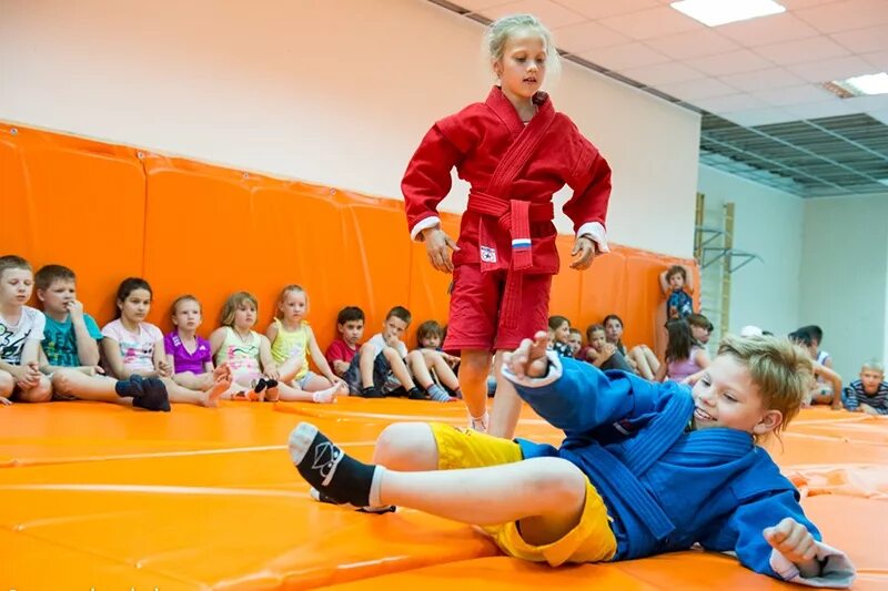 В какую школу можно отдать ребенка. Спортивные кружки для детей. Детские спортивные секции. Спортивные кружки для девочек. Самбо дети.