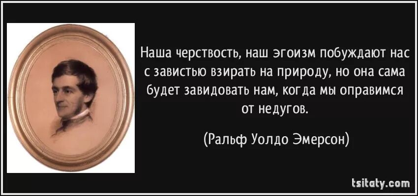 Человек который думает что знает все. Цитаты с автором. Цитаты про людей. Цитаты писателей. Высказывания о людях.