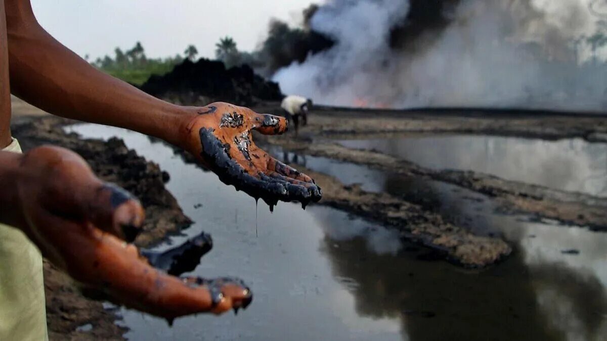 Проблемы загрязнения окружающей среды нефтью. Последствия загрязнения окружающей среды. загрязнение нефтью человек. влияние нефти на природу. выброс нефти в природу.