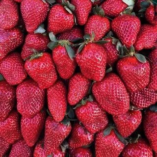 Клубника предложения