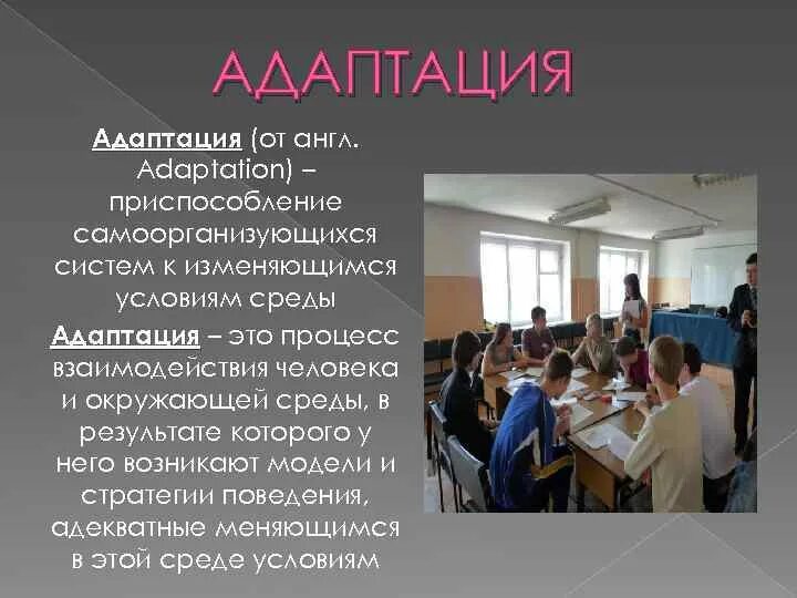 Адаптация 1 7. Адаптация студентов. проблемы адаптации студентов. адаптация 1 курса презентация. адаптация первокурсников.