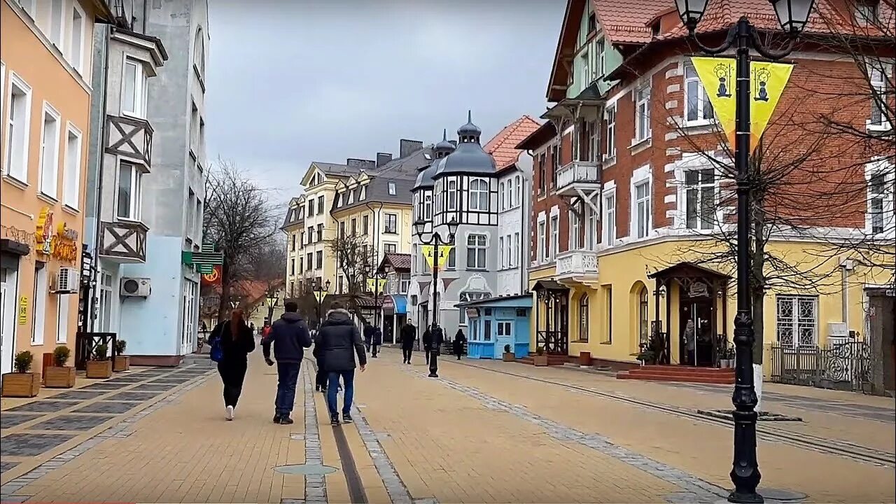 Почему зеленоградск. Город кошек зеленоградск калининградская область. улица кошек в зеленоградске калининградской области. кошачий городок в зеленоградске. зеленоградск калининградской области улица котов.