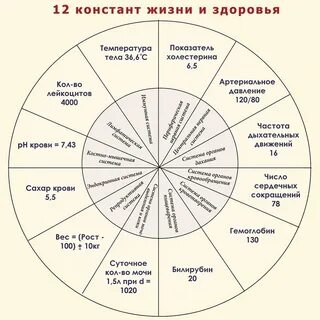 Система 12 s