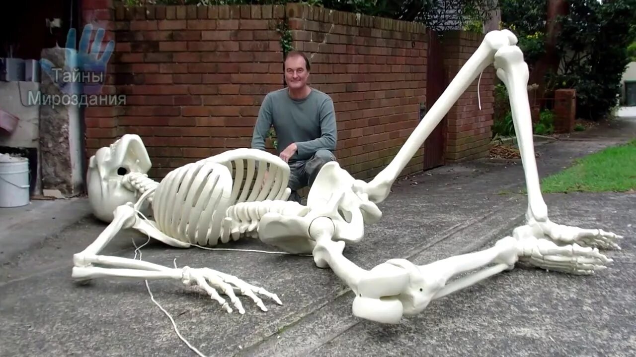 Самый высокий человек в мире султан косен. Человек 15 метров. Человек 15 метров. Великаны люди скелеты исполины. Таблица ростов атака титанов.