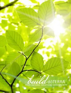 Nature of business