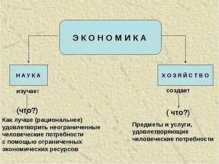Зачем нужна экономика