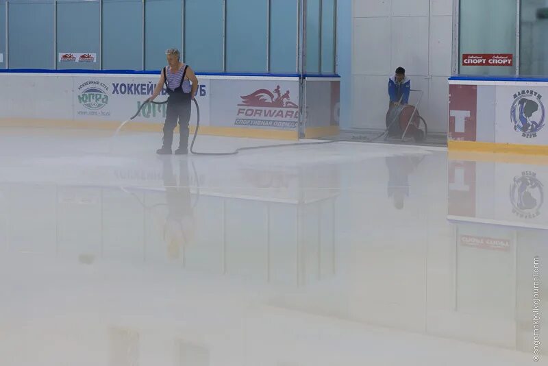 Ледовар это. Ледовар профессия. Ледовар это. Заливщик льда. Ледовар это.