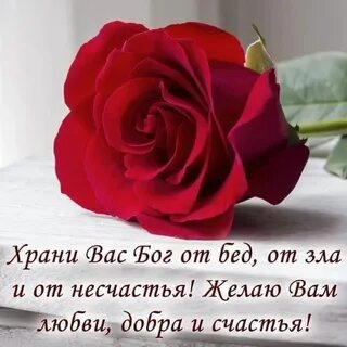 Счастье любви здоровье цвети
