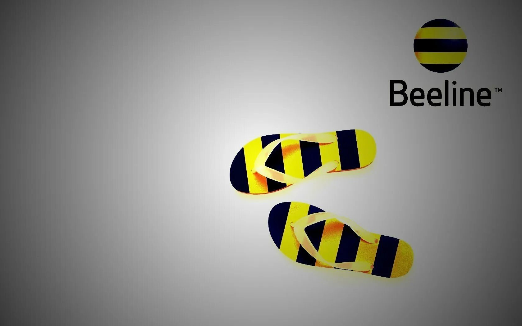 Beeline data