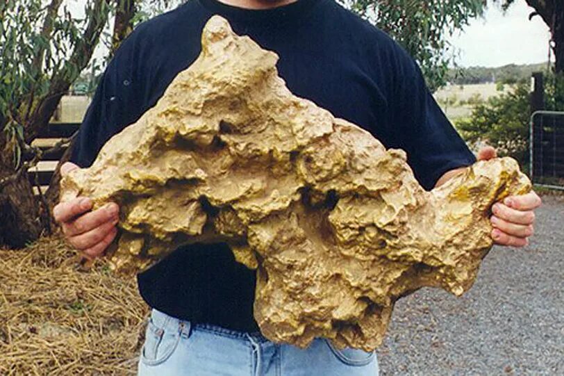 Плита Холтермана самородок. Самый большой самородок золота в мире вес. Золотые самородки Австралии. Самый большой самородок золота в Австралии.