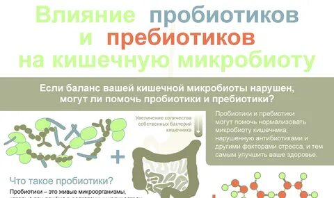 Пробиотики и пребиотики