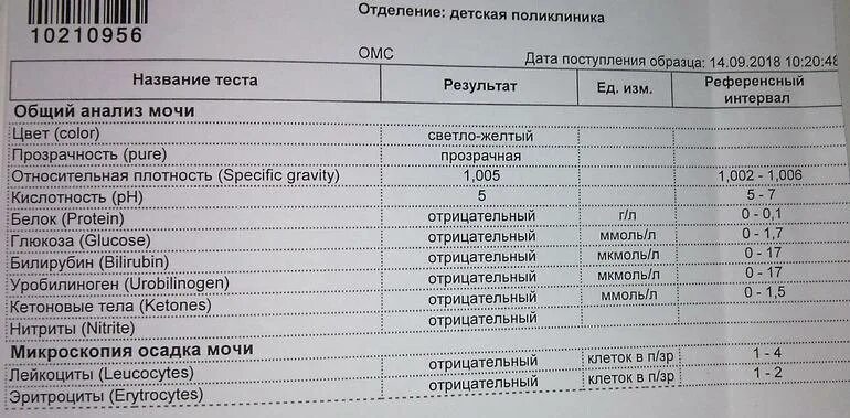 Моча ребенок лейкоциты эритроциты повышенные