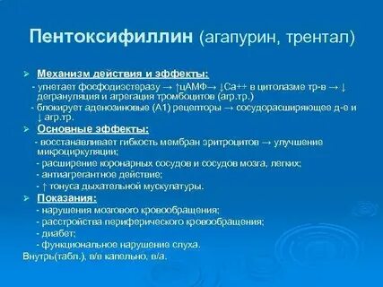 После пентоксифиллина