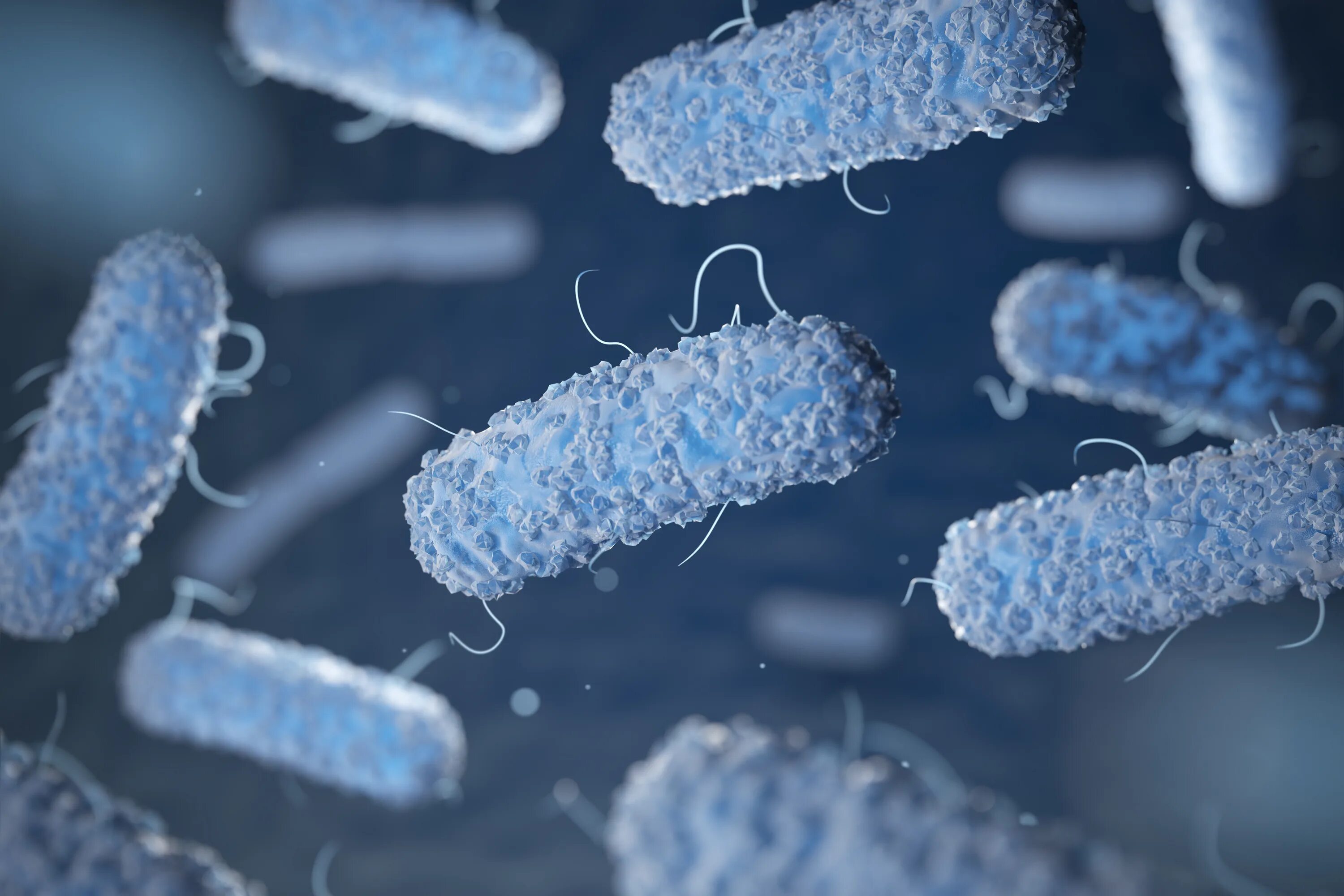 Листерия моноцитогенес. Listeria monocytogenes микробиология. Legionella pneumophila микробиология. Передвижение бактерий