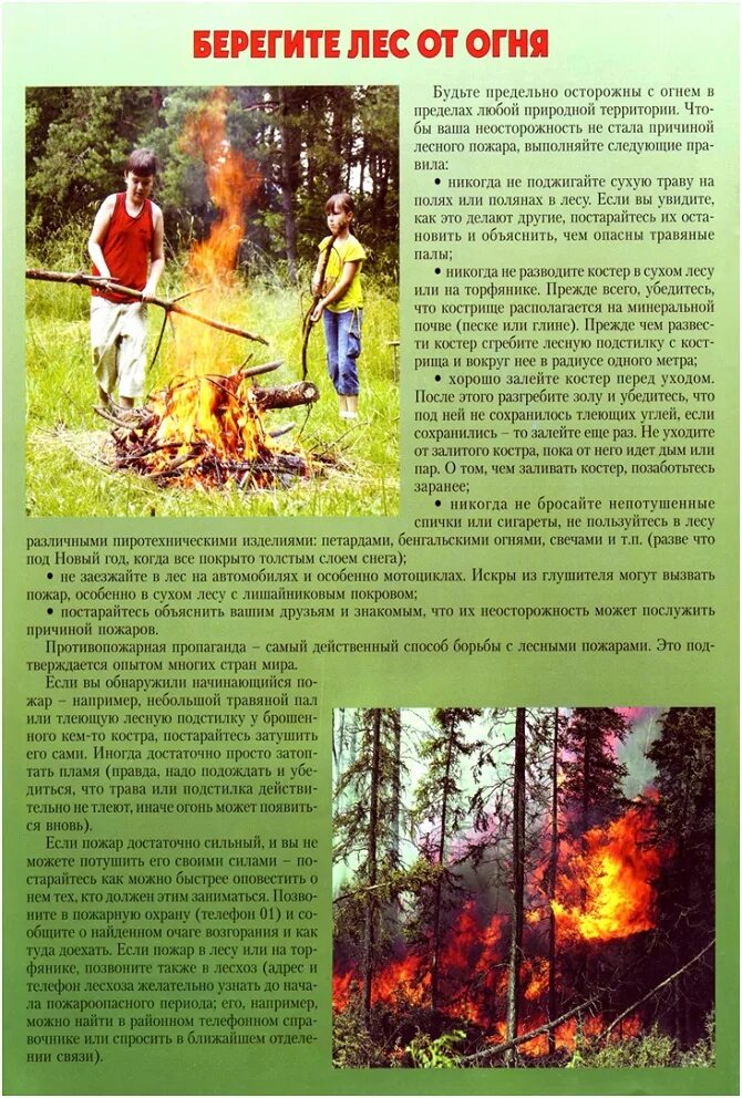 Пожарная безопасность в лесу для детей. Памятка берегите лес от огня. Пожар в лесу. Пожарная безопасность в лесу. Памятка по пожарам в лесу.