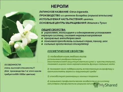 Amber neroli перевод