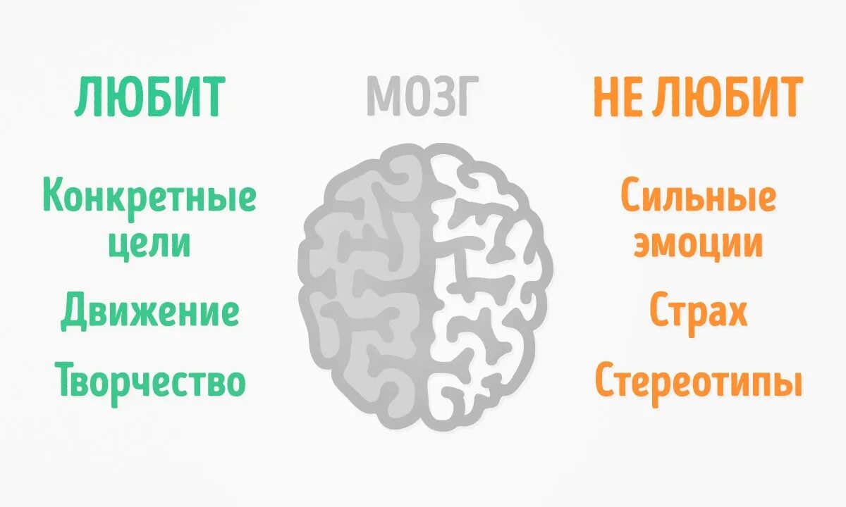 Почему мозг хуже. Что любит мозг. Цитаты про мозги. Мозг любит мозг. Афоризмы про мозг.