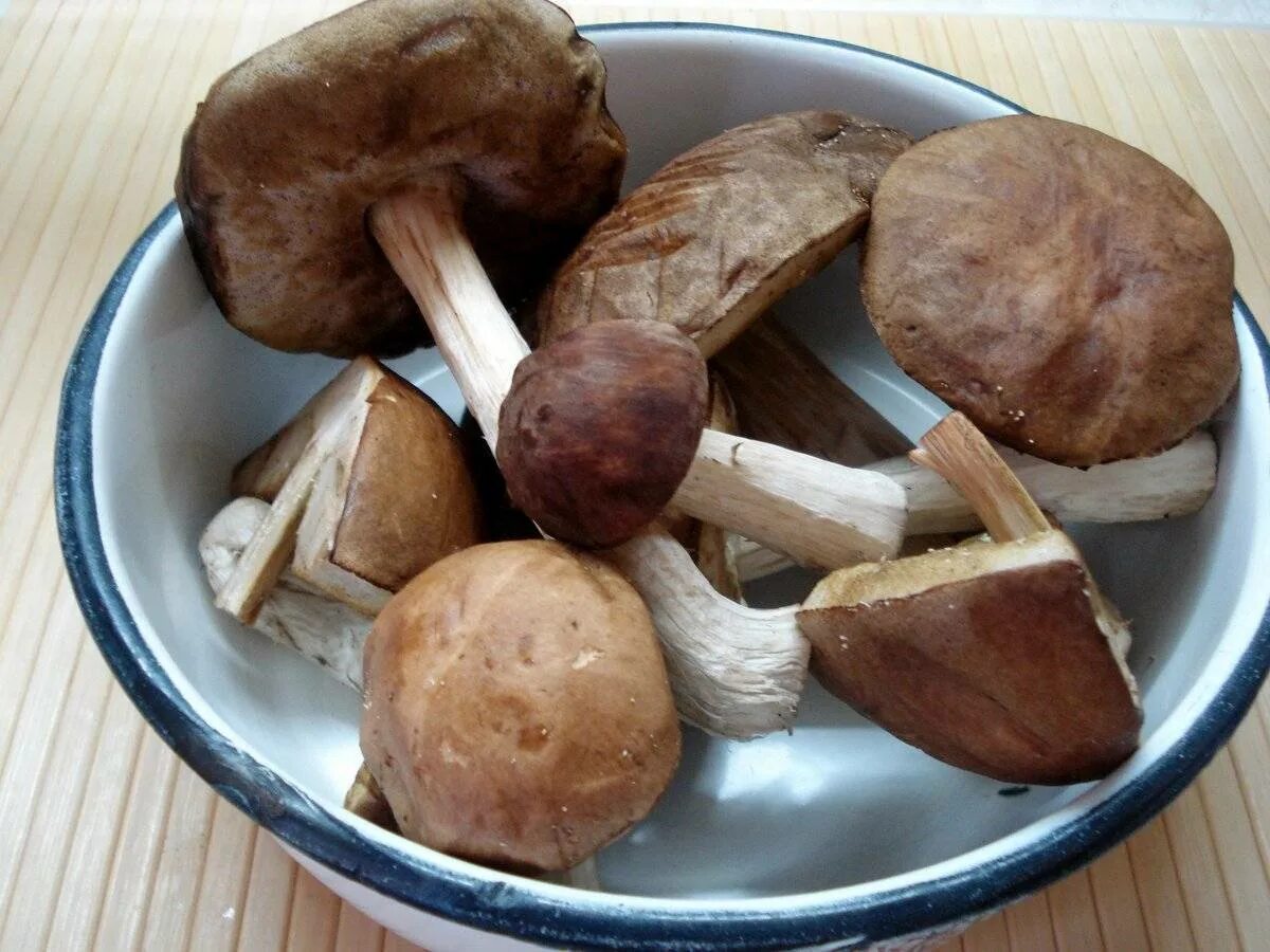 Как варить подберезовики. Боровик девичий (boletus appendiculatus). подберезовик гриб. приготовление подберезовиков. жареные подберезовики.