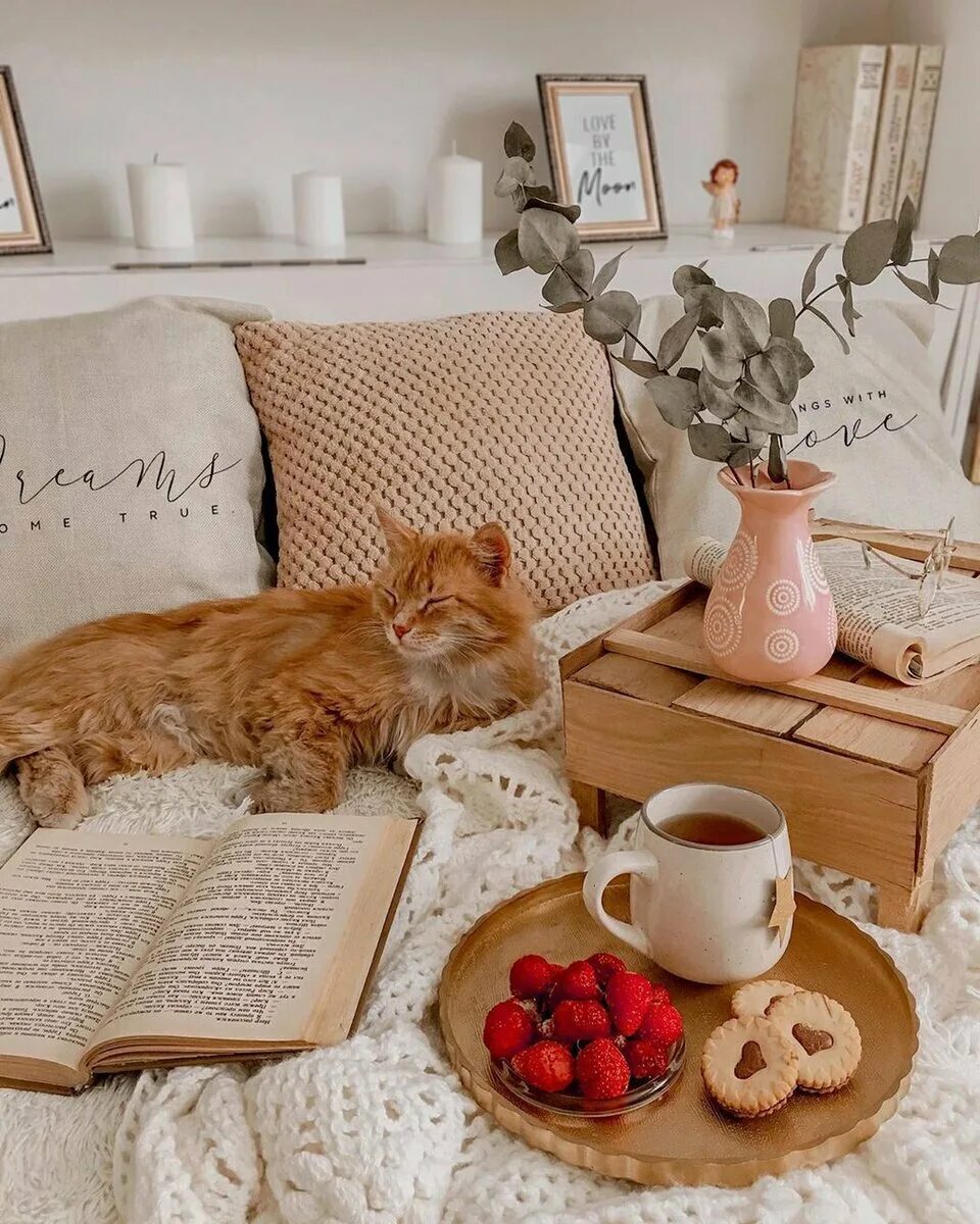 Уютные картинки. Домашний уют. Уютный котик. Уют в доме. Уютное утро.