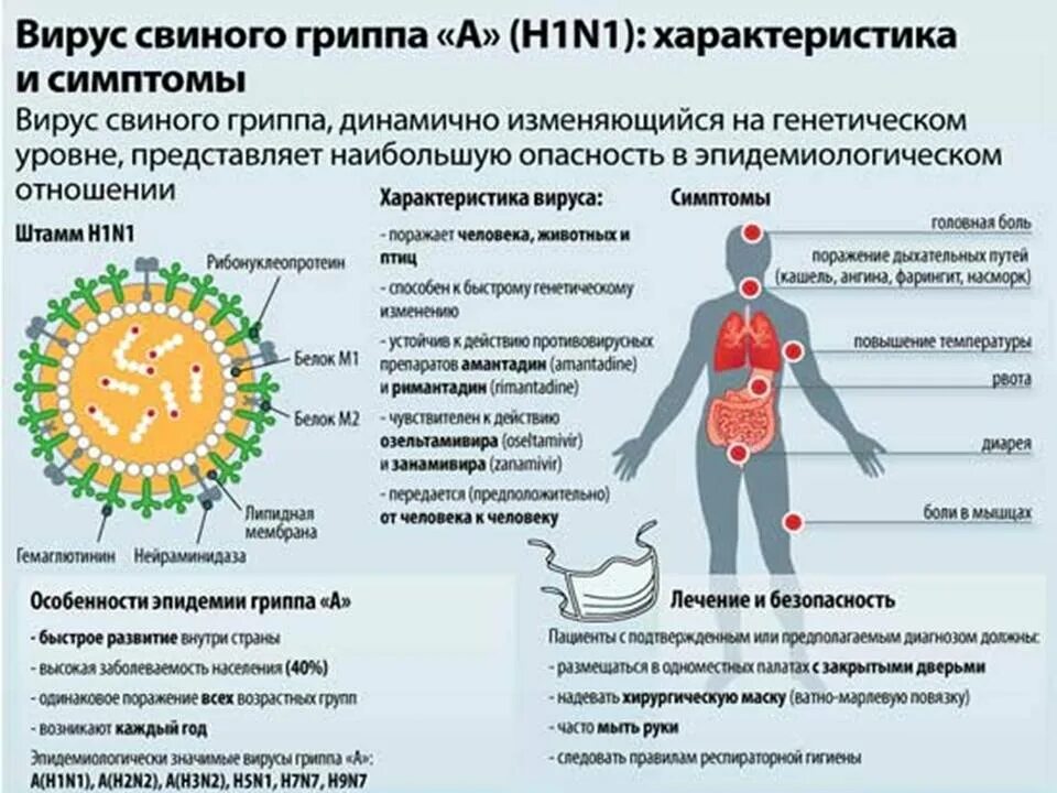 Грипп периоды эпидемий. Вирус гриппа h1n1. Вирус свиного гриппа (h1n1). Особенности мвиного группа. Свиной грипп симптомы.