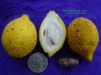 Rare fruit