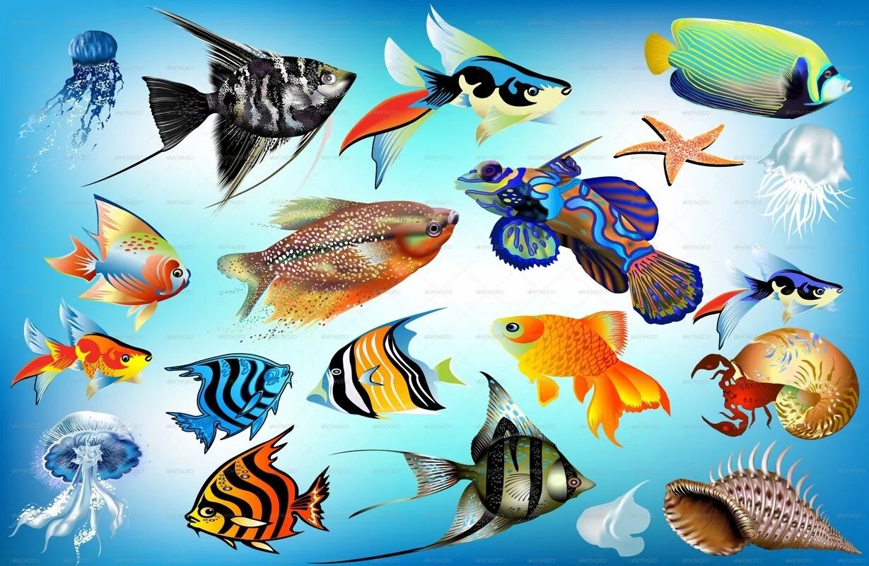 Морские рыбки. Рыба для детей. Аквариумные рыбки. Разнообразие рыб. Морские обитатели планирование