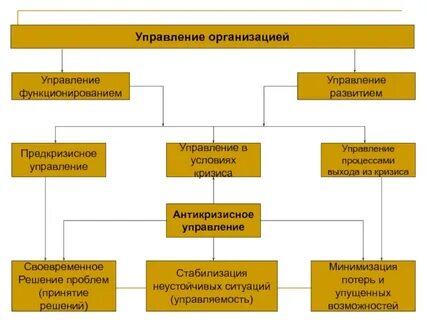Основные управленческие организационные процессы