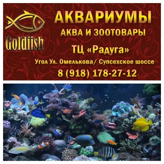 Стоматология "Здоровье" по адресу Заводская, 28в в Анапа - цены в 2025 году, отз