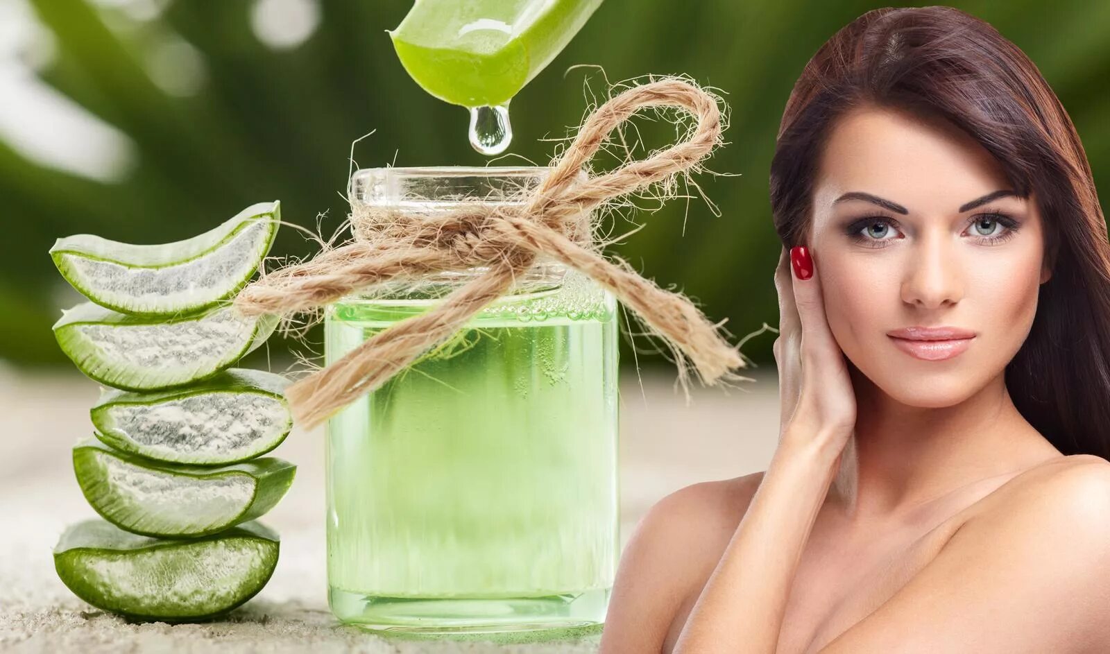 алоэ в косметологии. польза алоэ для кожи. алоэ в косметологии для лица. маска из алоэ. польза алоэ для кожи.