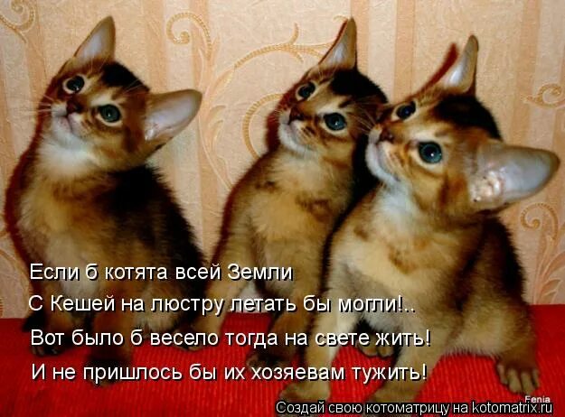 плакат жить стало лучше жить стало веселее 1936. смешные пожелания с добрым утром. было б веселей. не грусти картинки. умные цитаты из мультфильмов.