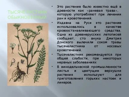 Травы объяснение