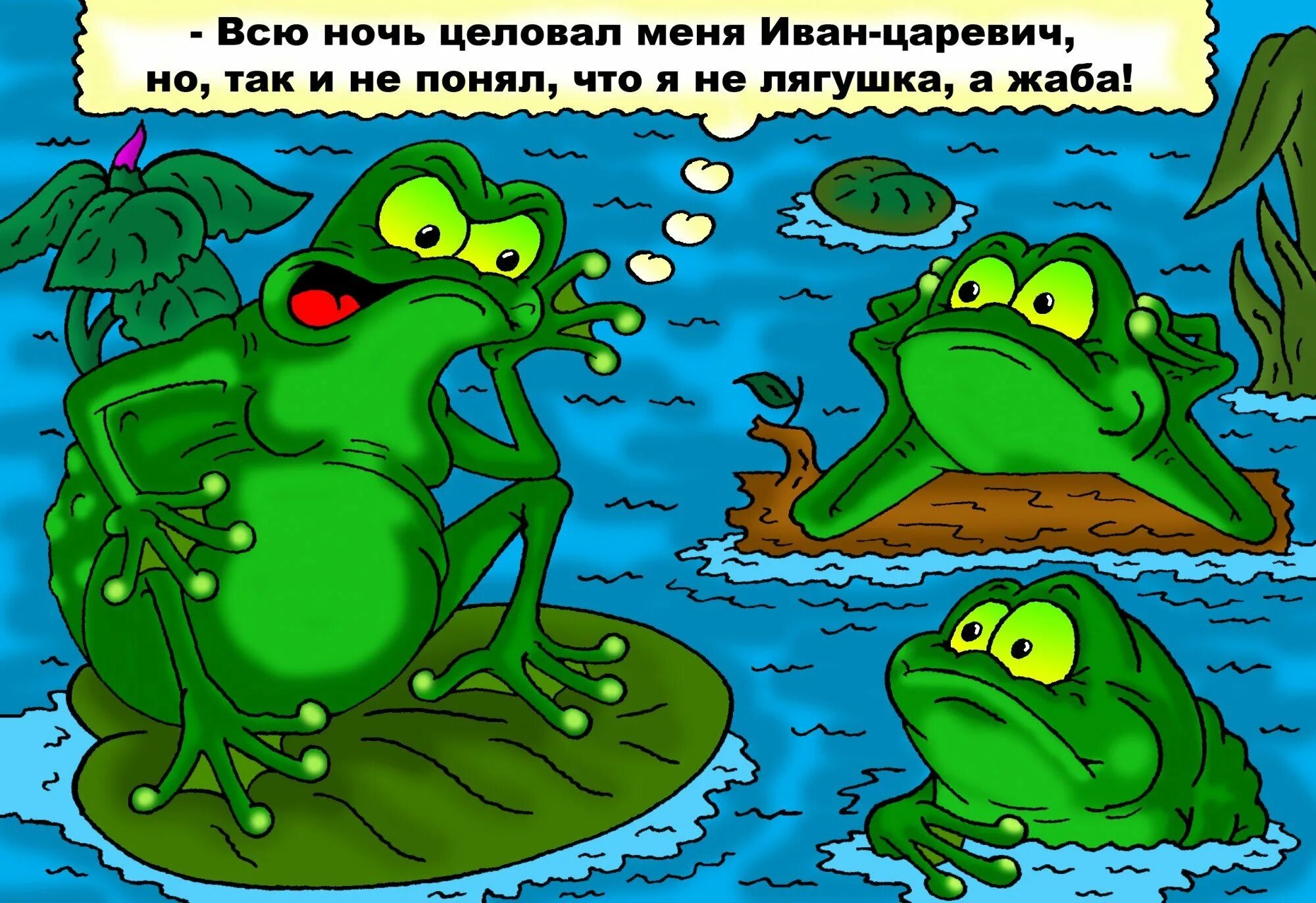 Душу жабу картинка. Смешные лягушки. Лягушка карикатура. Шутки про лягушек. Анекдот про жабу.