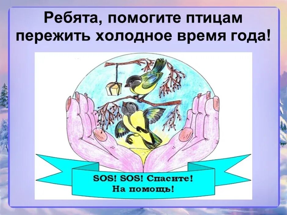 Сохраняют тепло тела птиц. Плакат по охране птиц. берегите птиц рисунок. плакат берегите птиц. защита птиц рисунки.