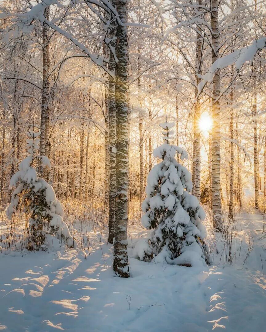 Зимний закат. Солнечный зимний день. Зимнее утро картинки. Утро зима. Солнечный зимний день.