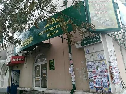 Дюна орск