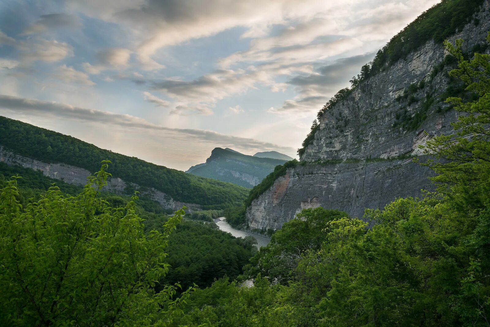 Верхний кодор абхазия. Река кодор абхазия. Кодорское ущелье в абхазии. Верхний кодор абхазия. Кодорское ущелье абхазия самшитовая роща.