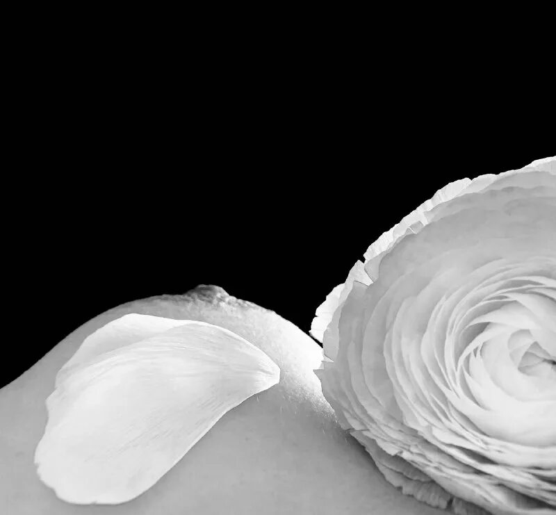 черно белые полосы. белые линии красоты. векторные волосы. силуэт девушки с длинными волосами. волосы трафарет.